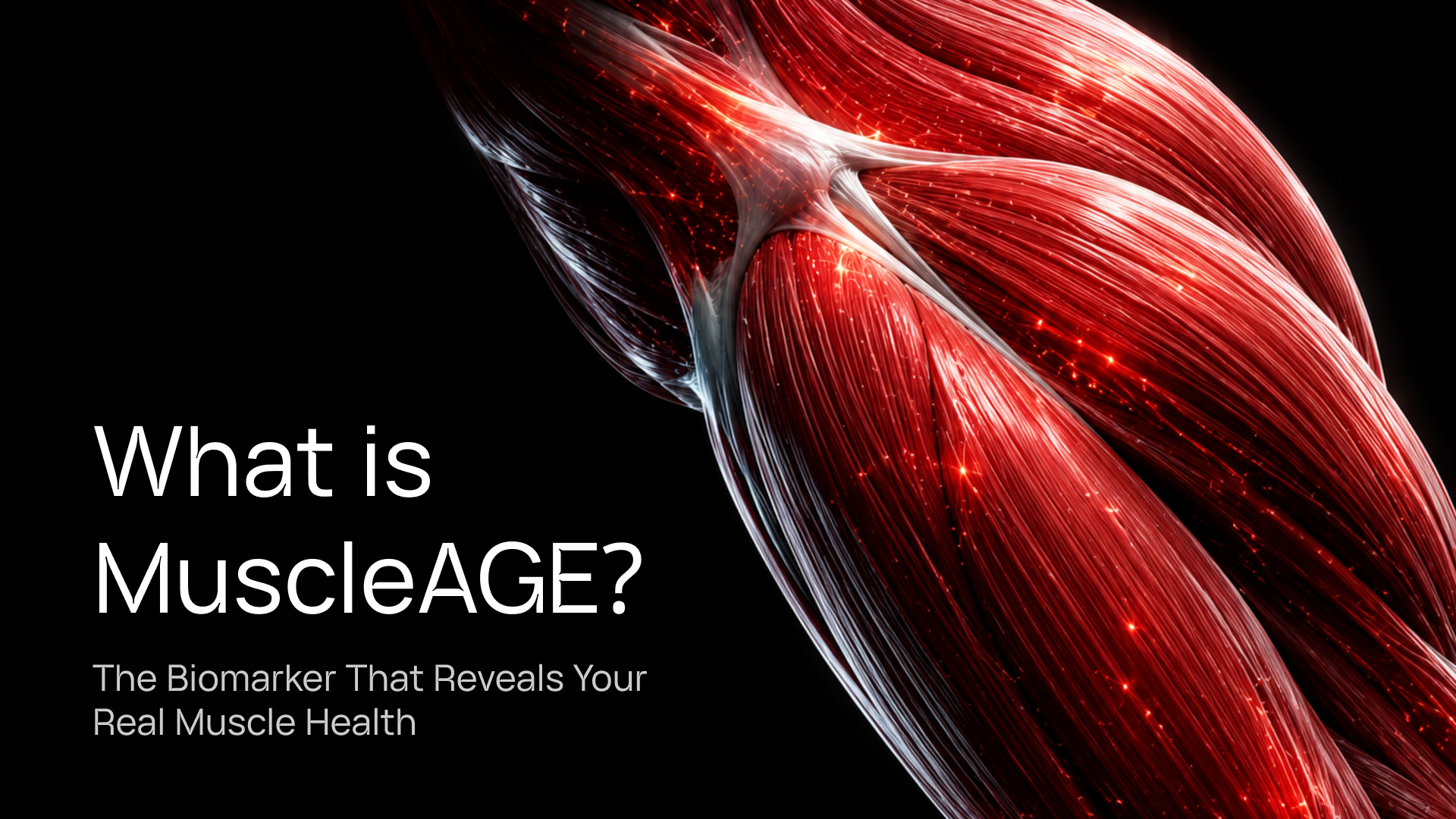 What Is MuscleAGE? The Biomarker That Reveals Your Real Muscle Health